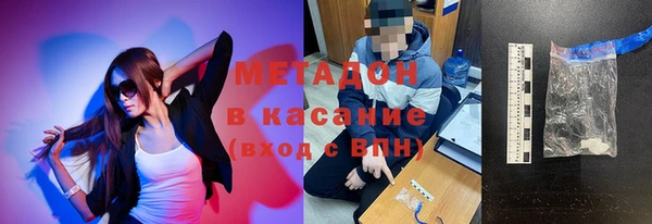 стаф Алзамай