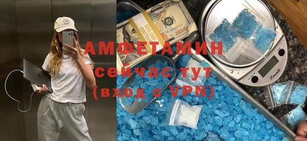 стаф Алзамай