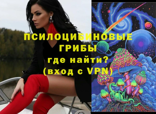 стаф Алзамай