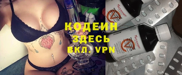 стаф Алзамай