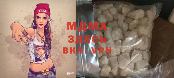 стаф Алзамай