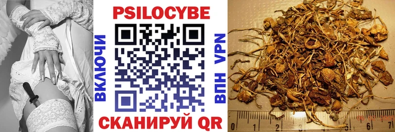 kraken ссылки  Ачинск  Псилоцибиновые грибы Magic Shrooms  наркота 